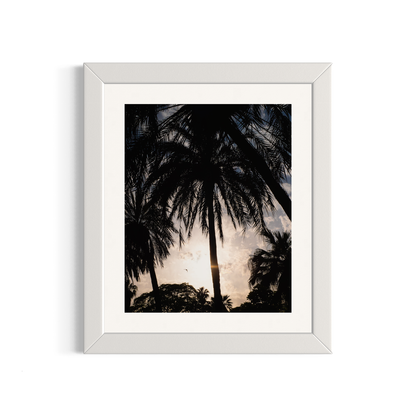 NOMO NOPRO 50 x 60 cm / Cadre Bois Blanc Tirage "PALMTREES" Málaga n°2