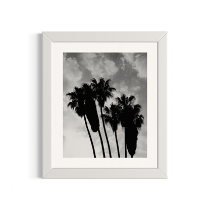 NOMO NOPRO 50 x 60 cm / Cadre Bois Blanc Tirage "PALMTREES" Málaga n°4