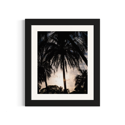 NOMO NOPRO 50 x 60 cm / Cadre Bois Noir Tirage "PALMTREES" Málaga n°2