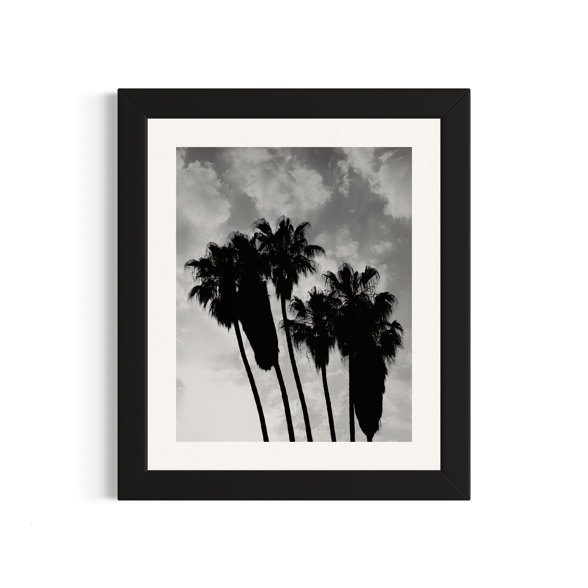 NOMO NOPRO 50 x 60 cm / Cadre Bois Noir Tirage "PALMTREES" Málaga n°4