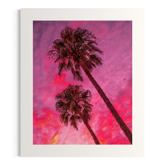 NOMO NOPRO 50 x 60 cm / Sans Cadre Tirage "PALMTREES" L'Almanarre n°8