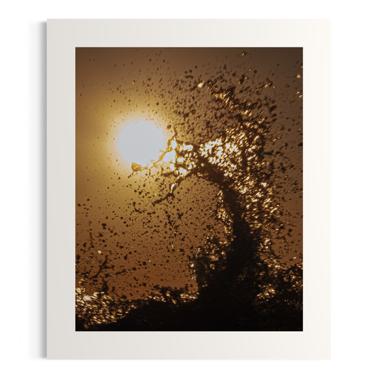 NOMO NOPRO 50 x 60 cm / Sans Cadre Tirage "SEA SIDE" Carqueiranne n°4