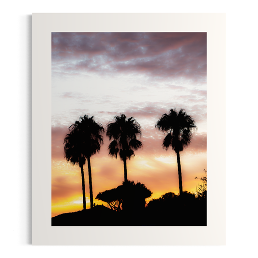 NOMO NOPRO Tirage "PALMTREES" L'Almanarre n°9